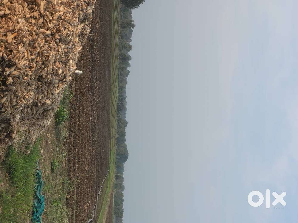 9acres जमीन है तीनो फसलों का फुल पानी है