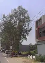 ਇਹ ਪਲਾਟ ਹਸਪਤਾਲ ਯਾਂ Bank ਲਈ ਬਣਾਏ ਜਾ ਸਕਦੇ ਨੇ NOC ਦੀ ਲੋੜ ਨਹੀਂ