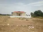 Royal Avenue Vacant Plot for sale cent 1.25L Panikampatti Palladam
