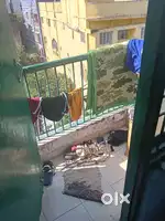 Roommate students working