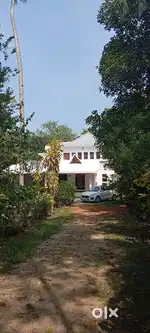 2BHK house(GF)  spacious, semi furnished for rent at Kayamkulam