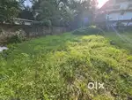 Aluva mahilalayam near seaport Road 38cent land River side