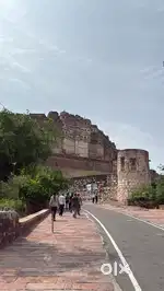 Looking for a female tour guide