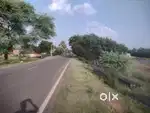 3 bigha plot for sale ramchandrpur mouja jila pakur jharkhand