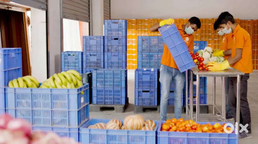 Wanted male/female packing helpers with food and accomdation