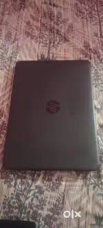 Leptop singa hand