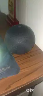 Alexa echo 5th gen