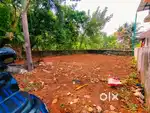 3 cents plots Kakkanad Thevakkal 8 pr cnt Negotiable