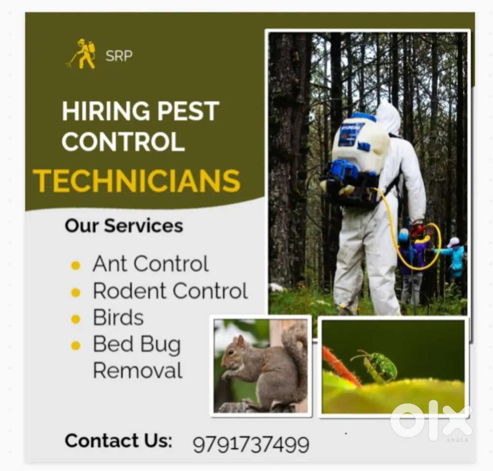 Looking for a pest control technician
