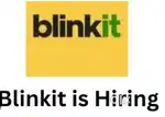 Blinkit delivery partner