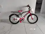 Momstar New Cycle Only 6 months Use