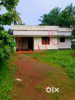 3bhk Independent house for rent Aluva Thottumugham near Edayapuram.