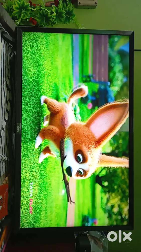 LG well maintained television
