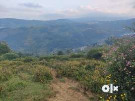 Ooty, 30 cents, Rs. 45 lakhs, Negotiable,