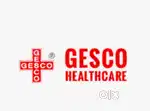 Delivery Executive