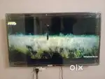 HAIER 43 INCH ANDROID TV