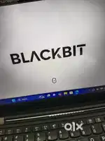 Need professional web developer