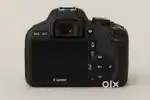 Canon camera for rent