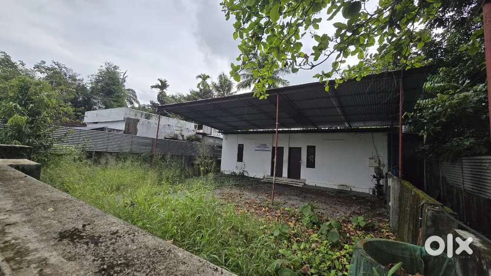 Nedumbassery athani kottayi 5.5 cent plot for sale immediately