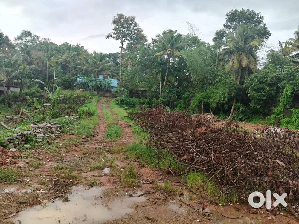 House Plots for sale at Thrikkannapuram