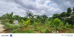 55-Acre Premium Farmland with Resort Amenities & Assured HIGH Returns.