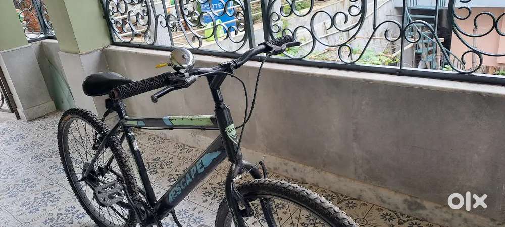 Bicycle cycle