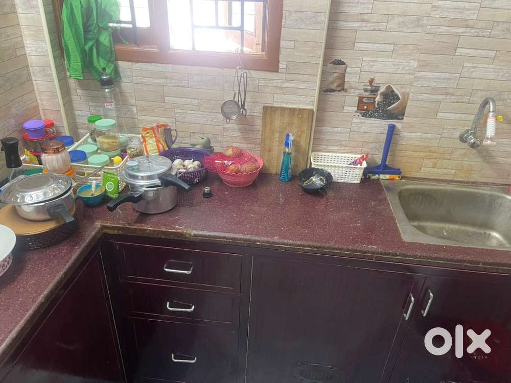 Sharing male bachelor