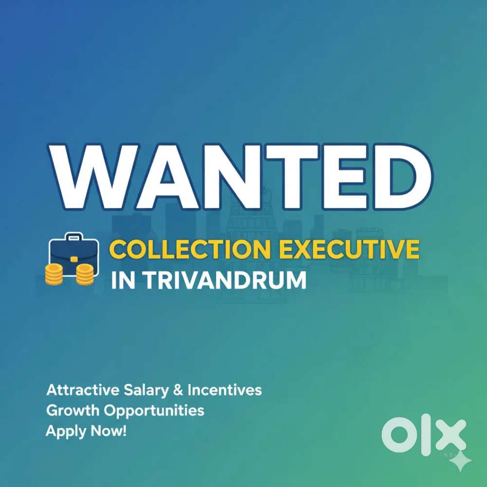 Collection Executive