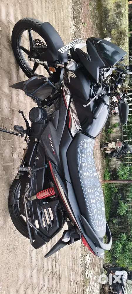 Full fresh condition