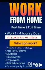 DATA ENTRY WORK BPO  NON VOICE PART TIME JOBS - Income 10 k to 25k.