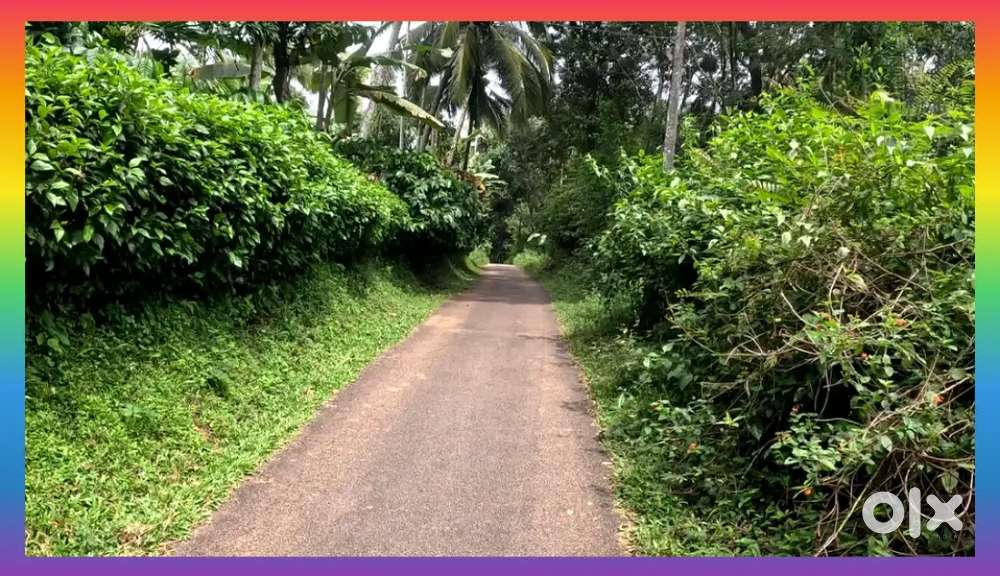 WRE-140 .  സെൻ്റിന് 27000 രൂപയ്ക്ക് 2 ഏക്കർ സ്ഥലം.2 Acre Resort land