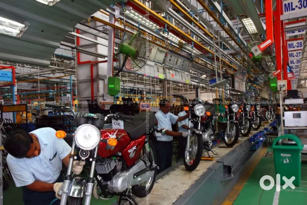 Were hiring freshers for job