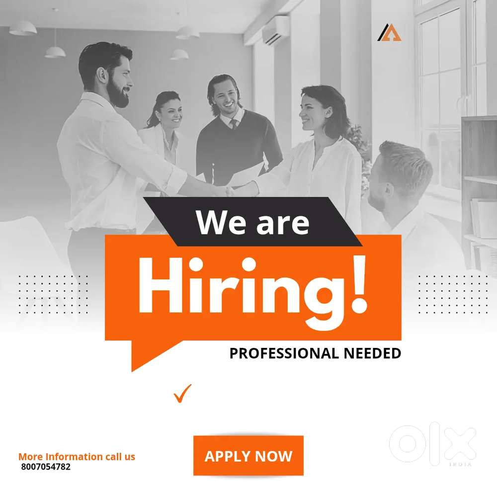 Back Office Executive