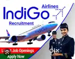 Indigo airlines male female vacancy 10 the 12 the pass