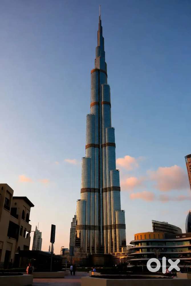 I need job. And I want patner investor