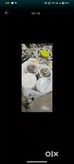 Mahi Tiffin service