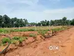 PLOTS FOR SALE AT BHOGAPURAM AIRPORT OPPOSITE