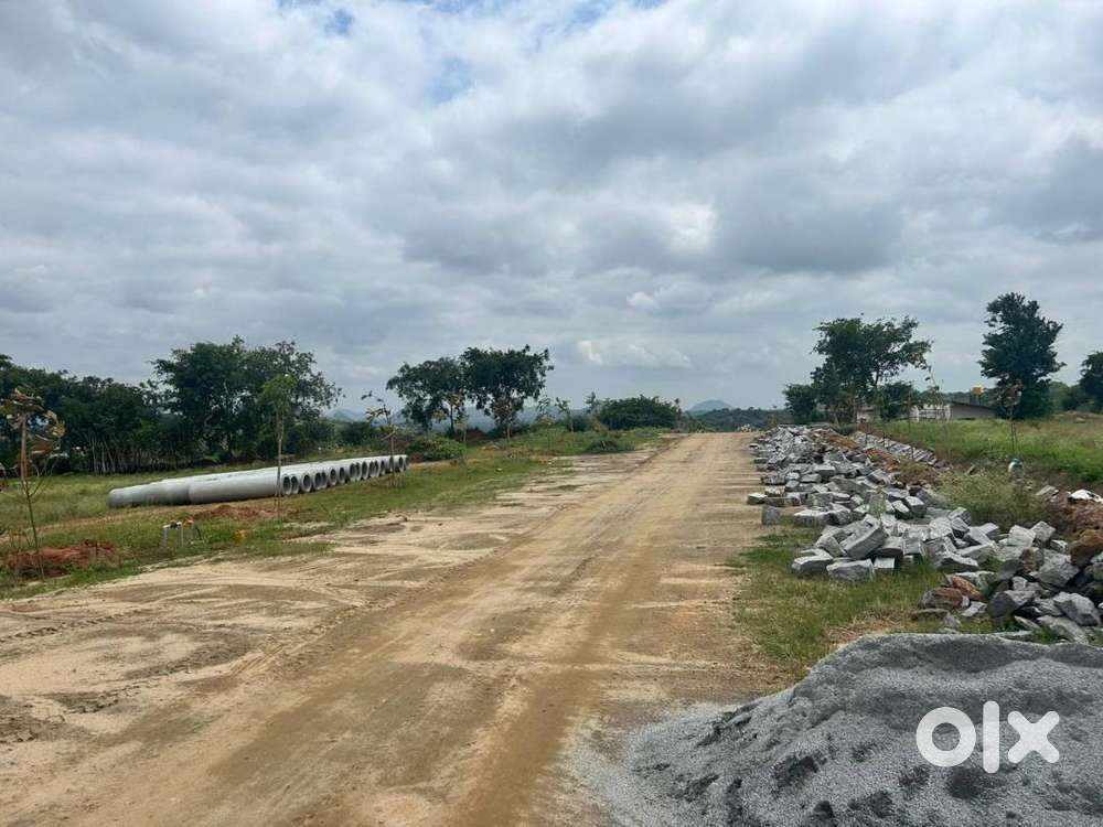 Farm Land For Sale Near Denkaikottai