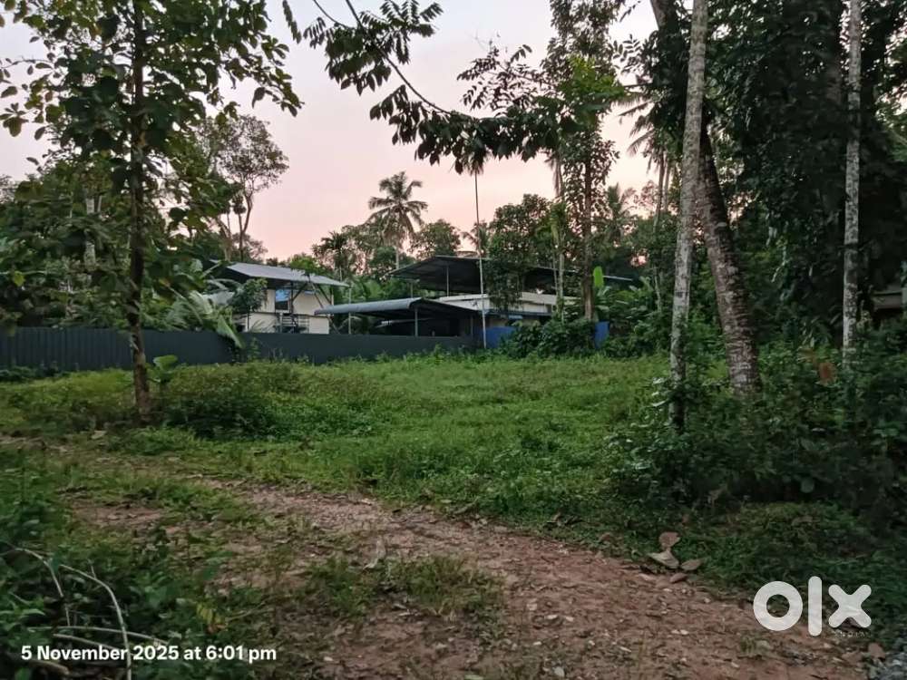 കരുനാഗപ്പള്ളി കല്ലേലിഭാഗം മാമി ജംഗ്ഷനിൽ 15 സെൻ്റ് വസ്തു വില്പനയ്ക്ക്