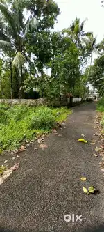 വീടു പണിയുവാൻ അനുയോജ്യമായ സ്ഥലം വിൽപ്പനയ്ക്ക്