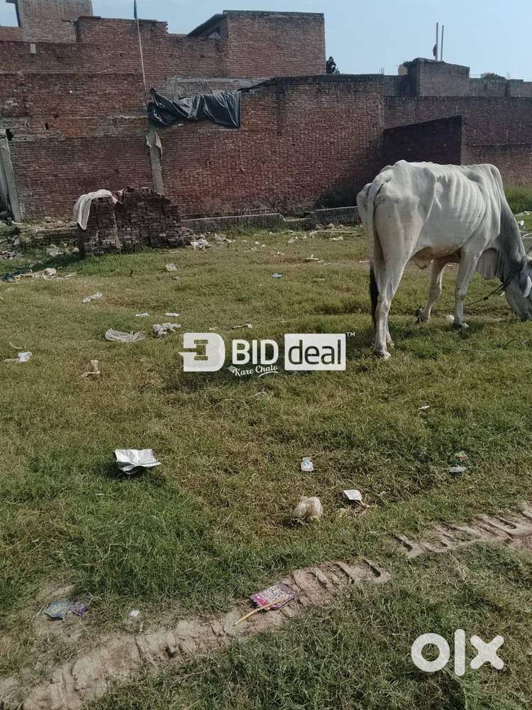 Residential Open Plot(Mainather)