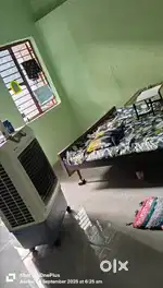 Need roommate urgent only for girls