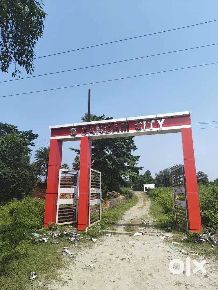 “Good for building a house and for investment.”