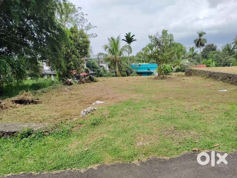 Residential Plots for Sale at Kinattinkara Jn Near Kulappully Shoranur