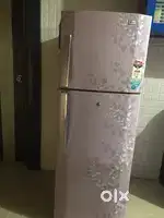 Double door freez