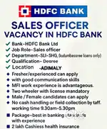 Sales officer