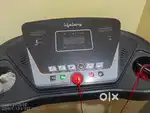 Lifelong  treadmill