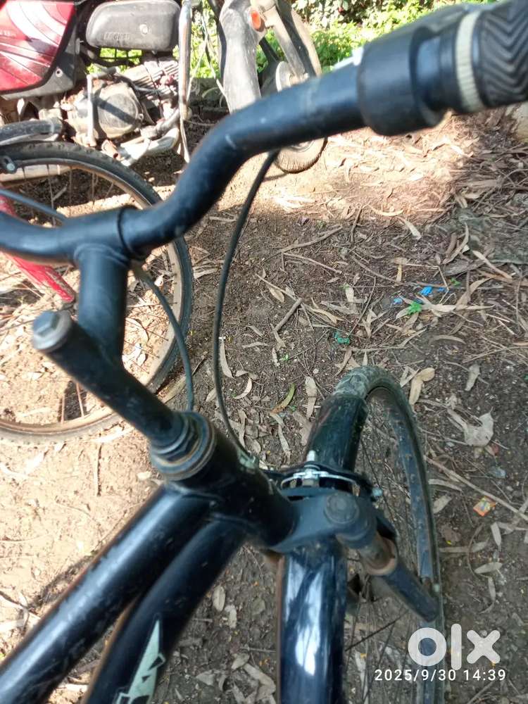 Bicycle for sell