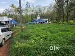 6.5 CENT RESIDENTIAL PLOT FOR SALE IN ANGAMALY, MOOKANNOR