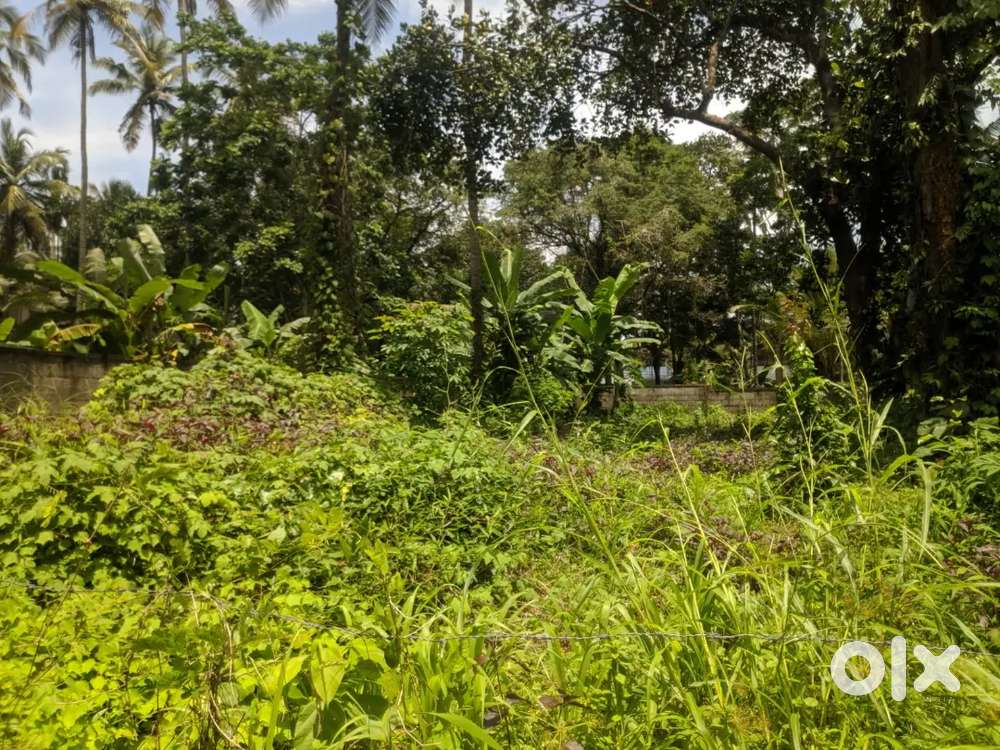 1 40 acre parambu for sale near chevarambalam bypass